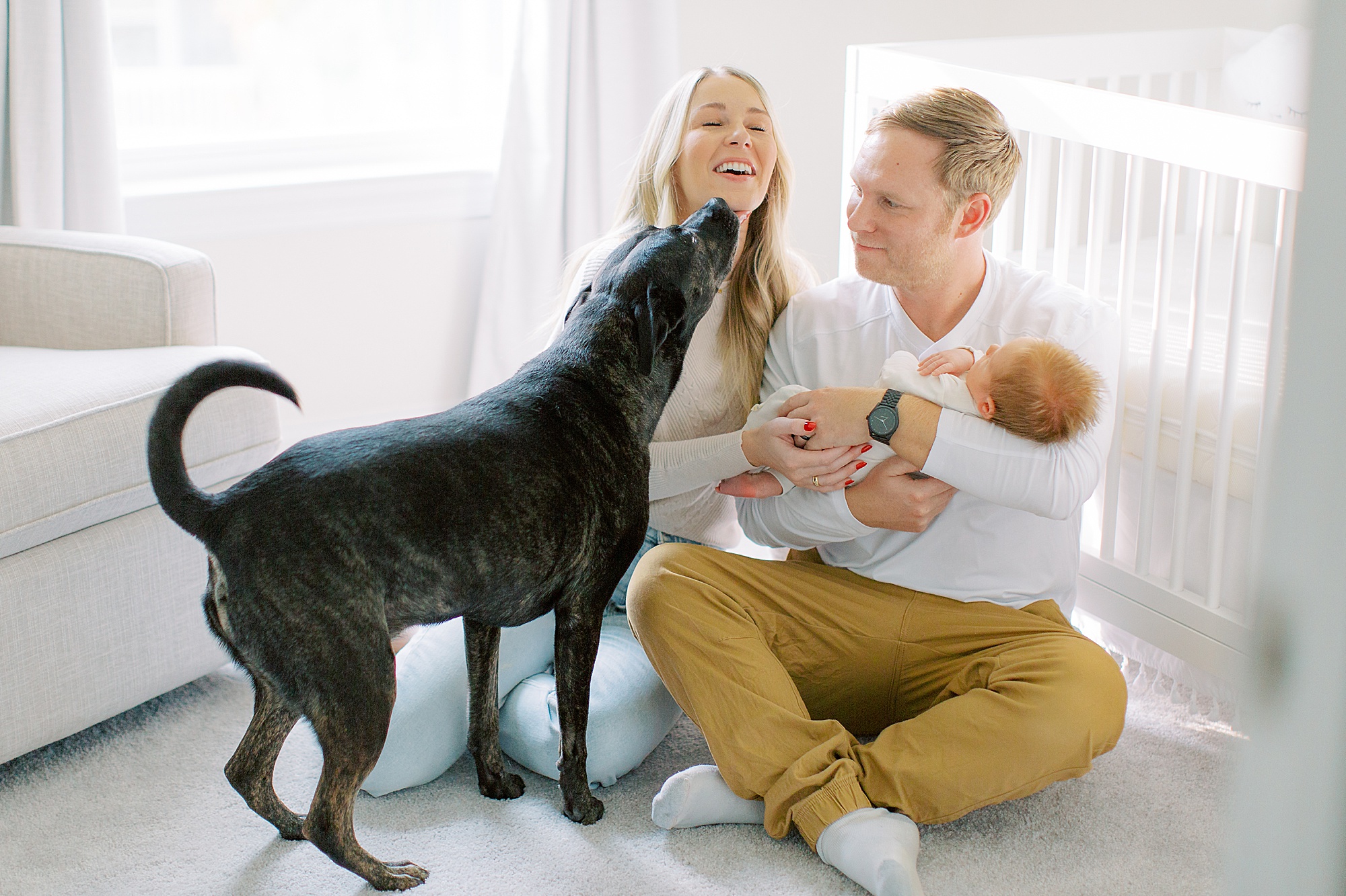 couple plays with dog while holding newborn baby by crib during Charlotte newborn session