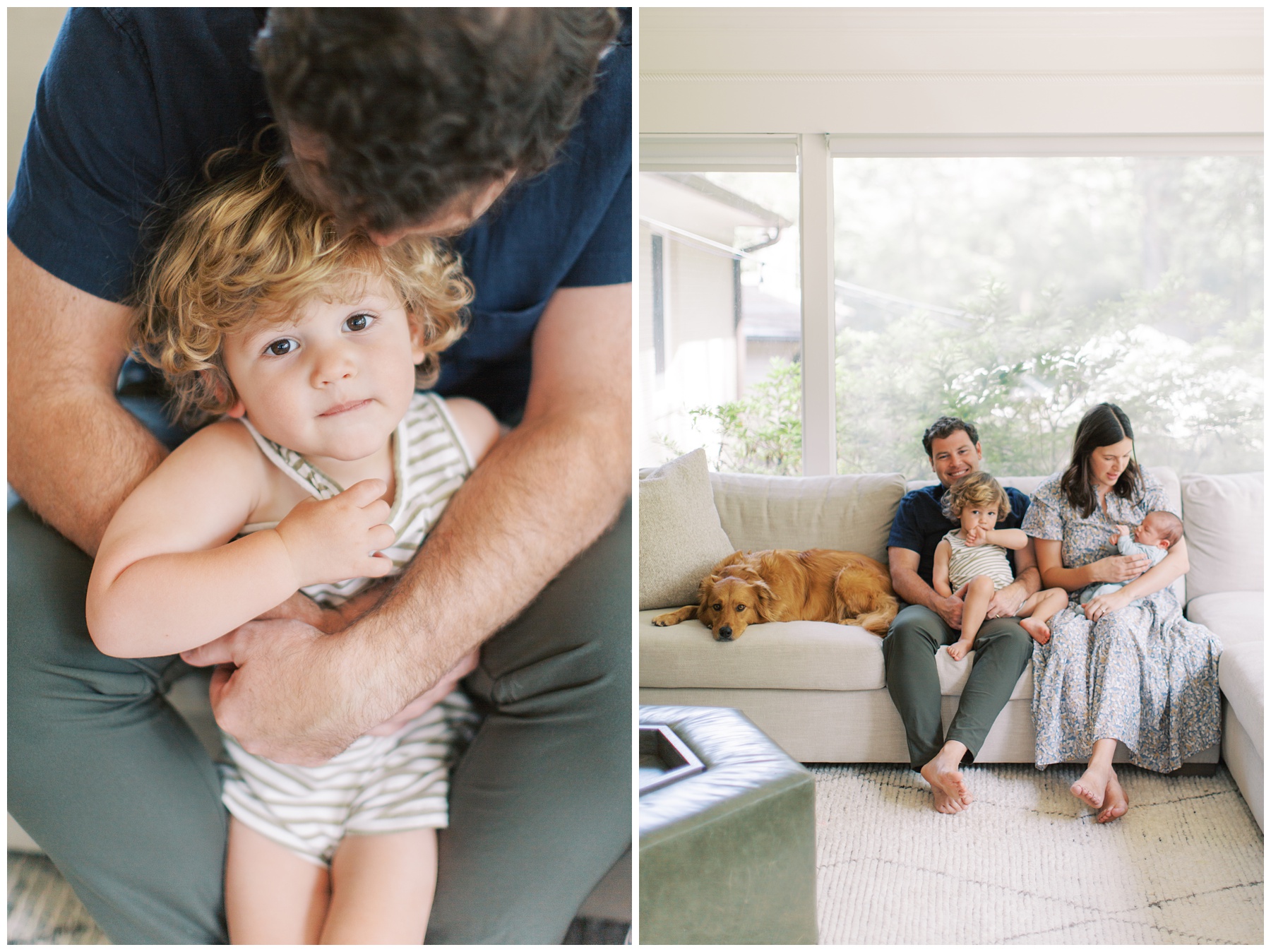 dad hugs toddler in lap and family of four sits on couch with dog during Charlotte in-home newborn session