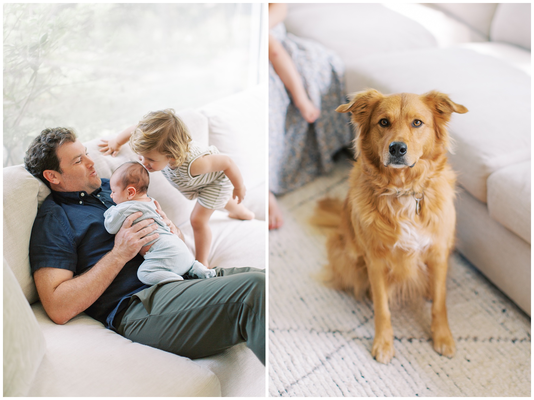 dad lays on couch holding newborn son on chest while toddler leans to tie baby a kiss and photo of golden retriever sitting by couch 