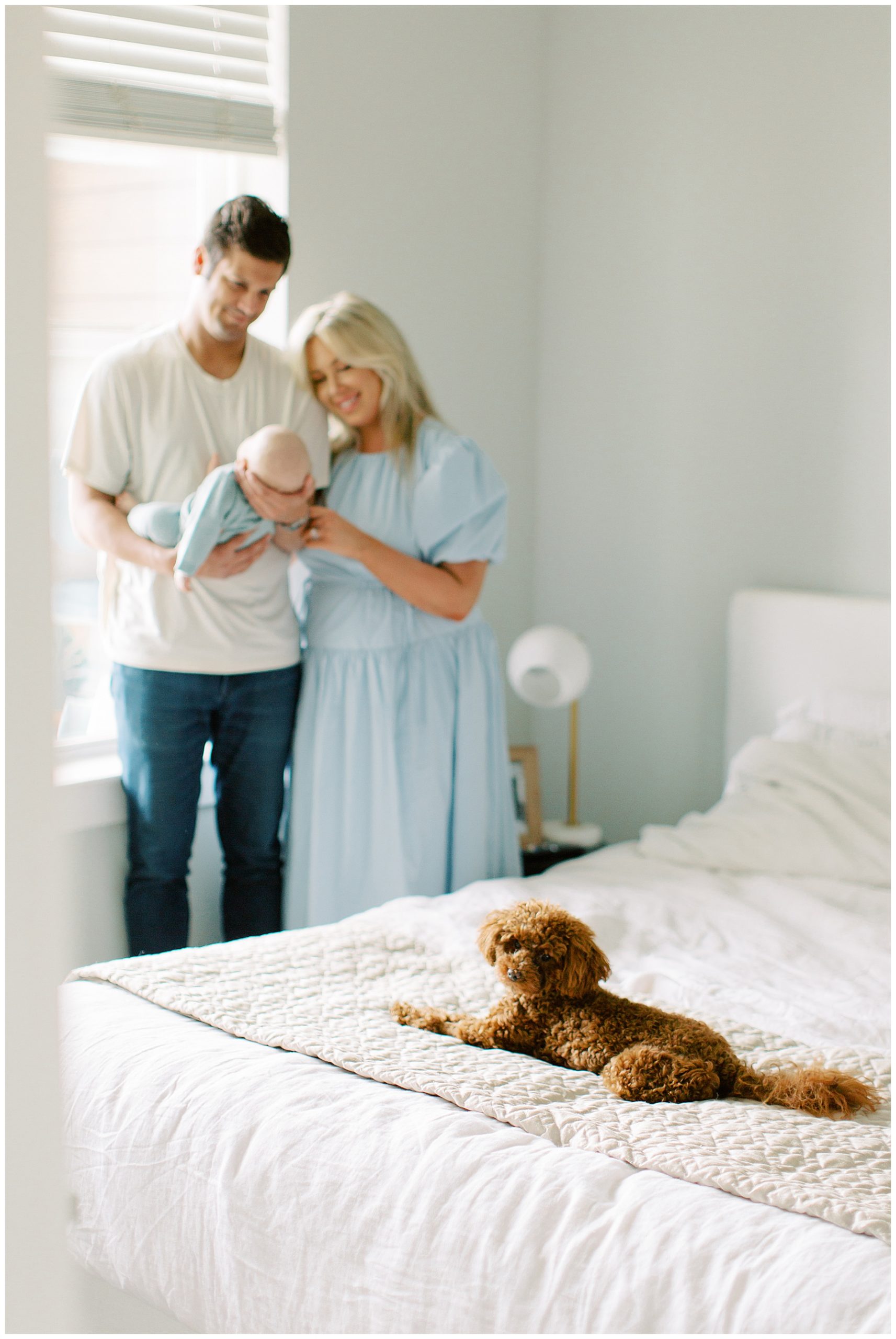 brown dog sits on end of bed while parents smile at son behind him during Charlotte in-home newborn session