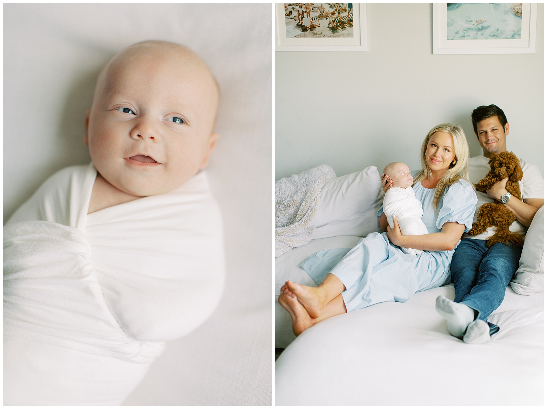 parents sit on couch with newborn son and dog during Charlotte newborn session at home