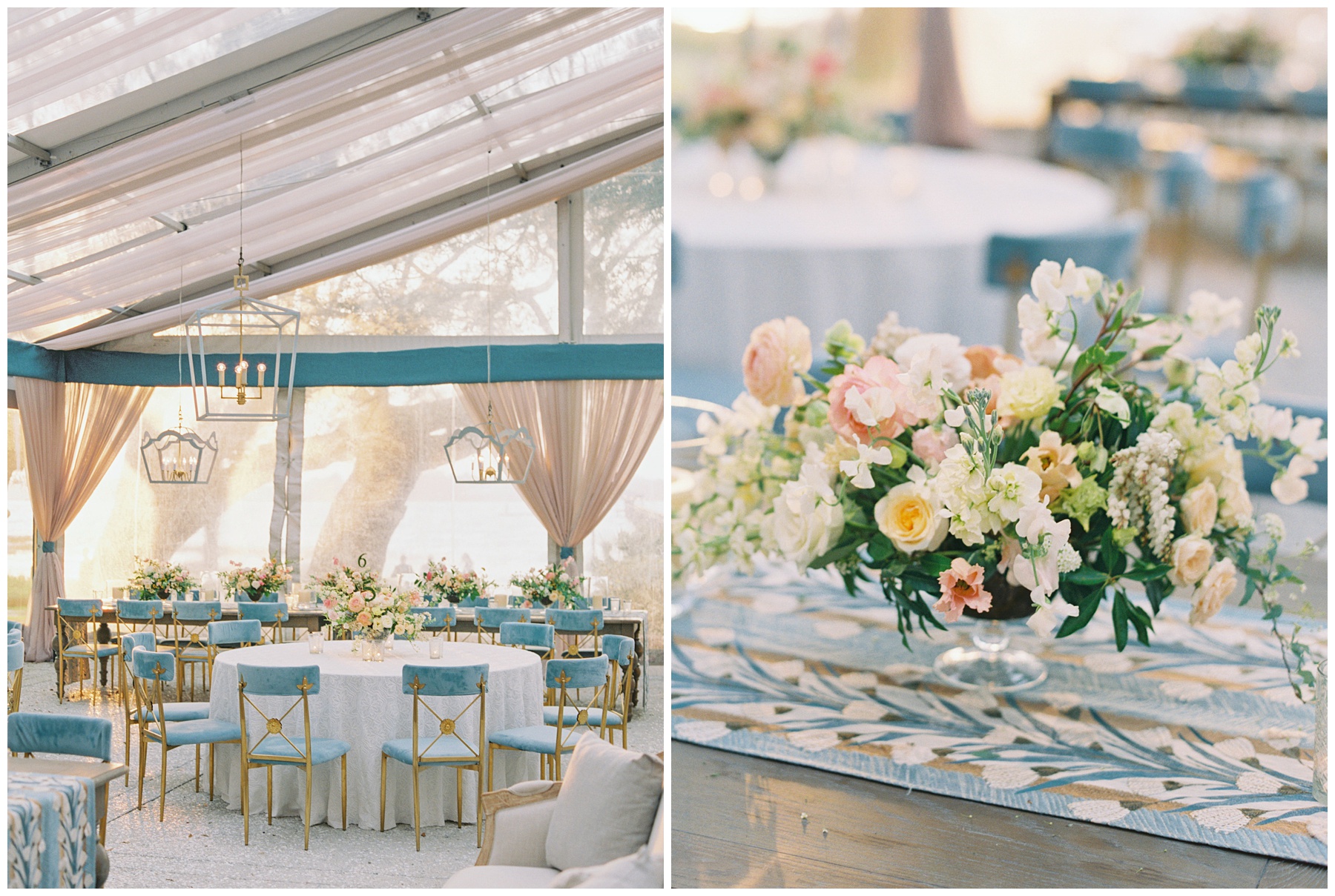 spring Lowndes Grove wedding reception with clear tent covering blue and gold chairs 