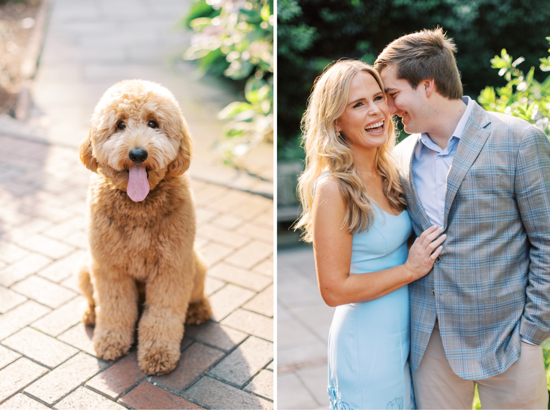 Engagement photos with dog 