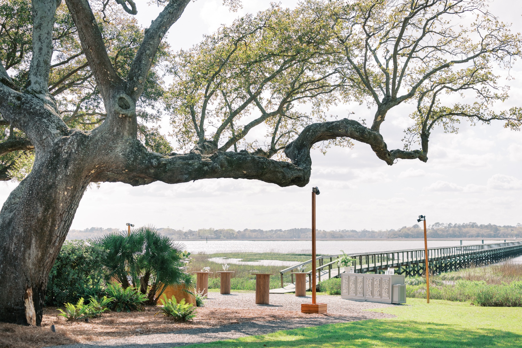 Romantic Coastal Lowndes Grove Wedding