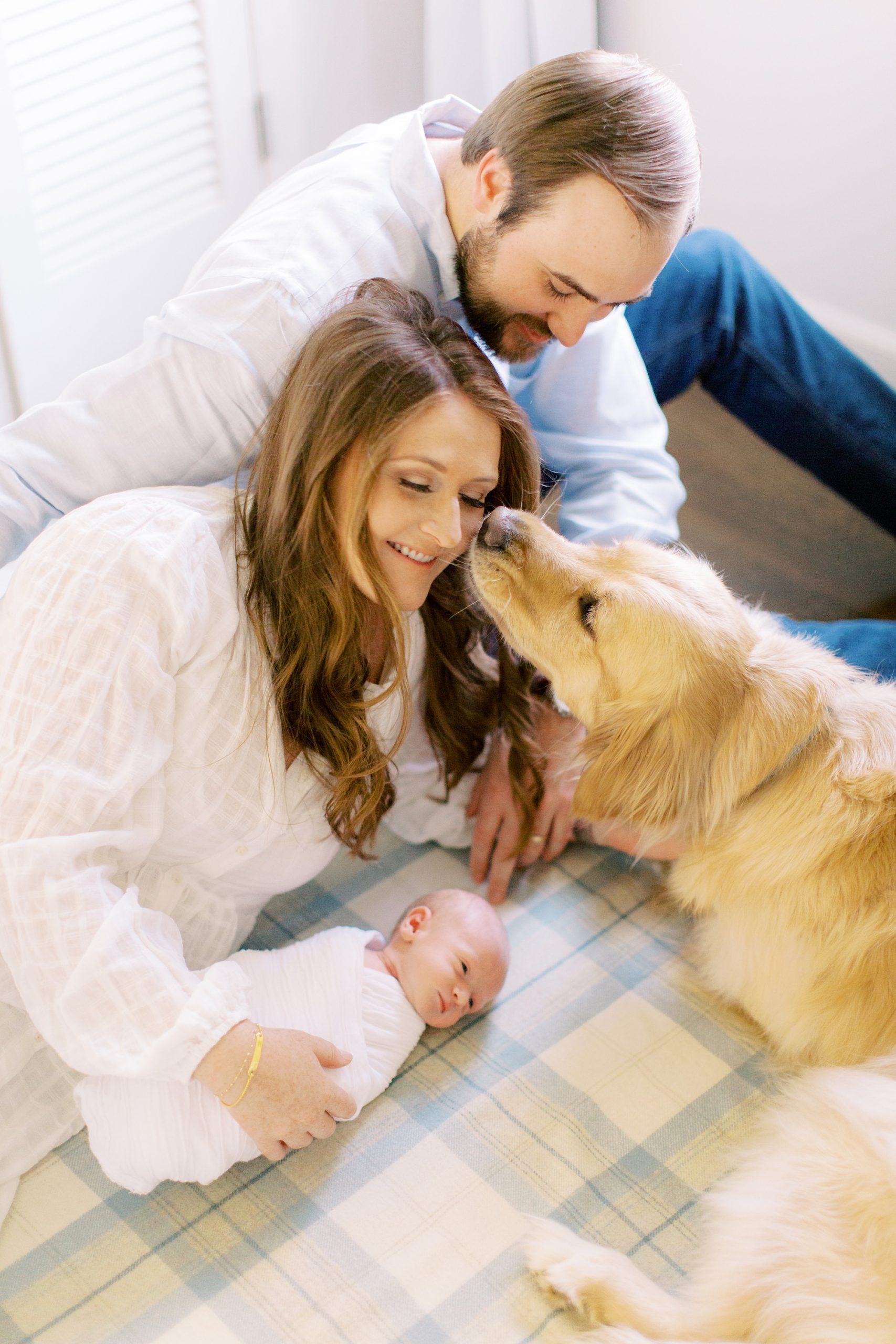 dog licks mom during lifestyle newborn photos at home