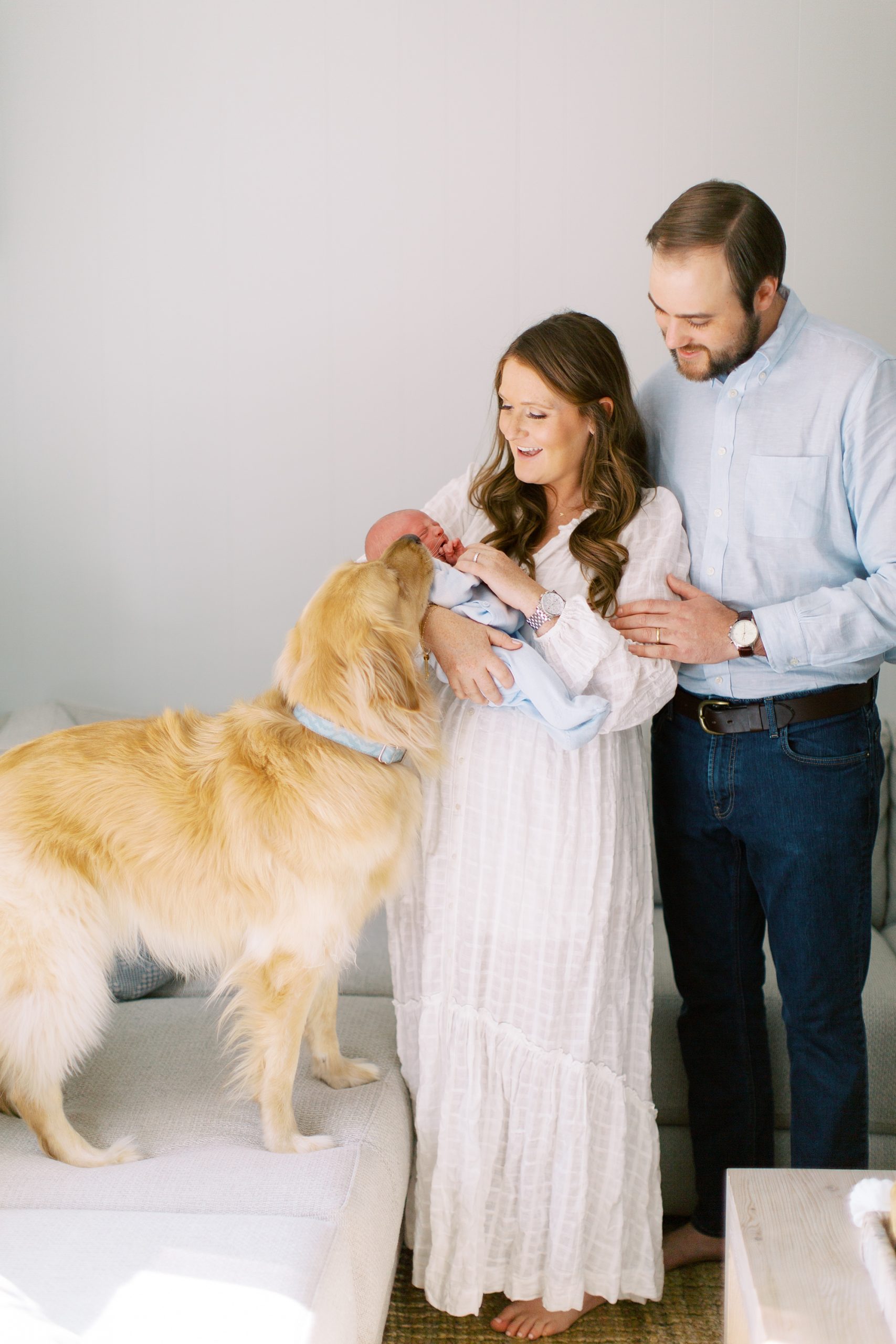parents show dog new baby at home