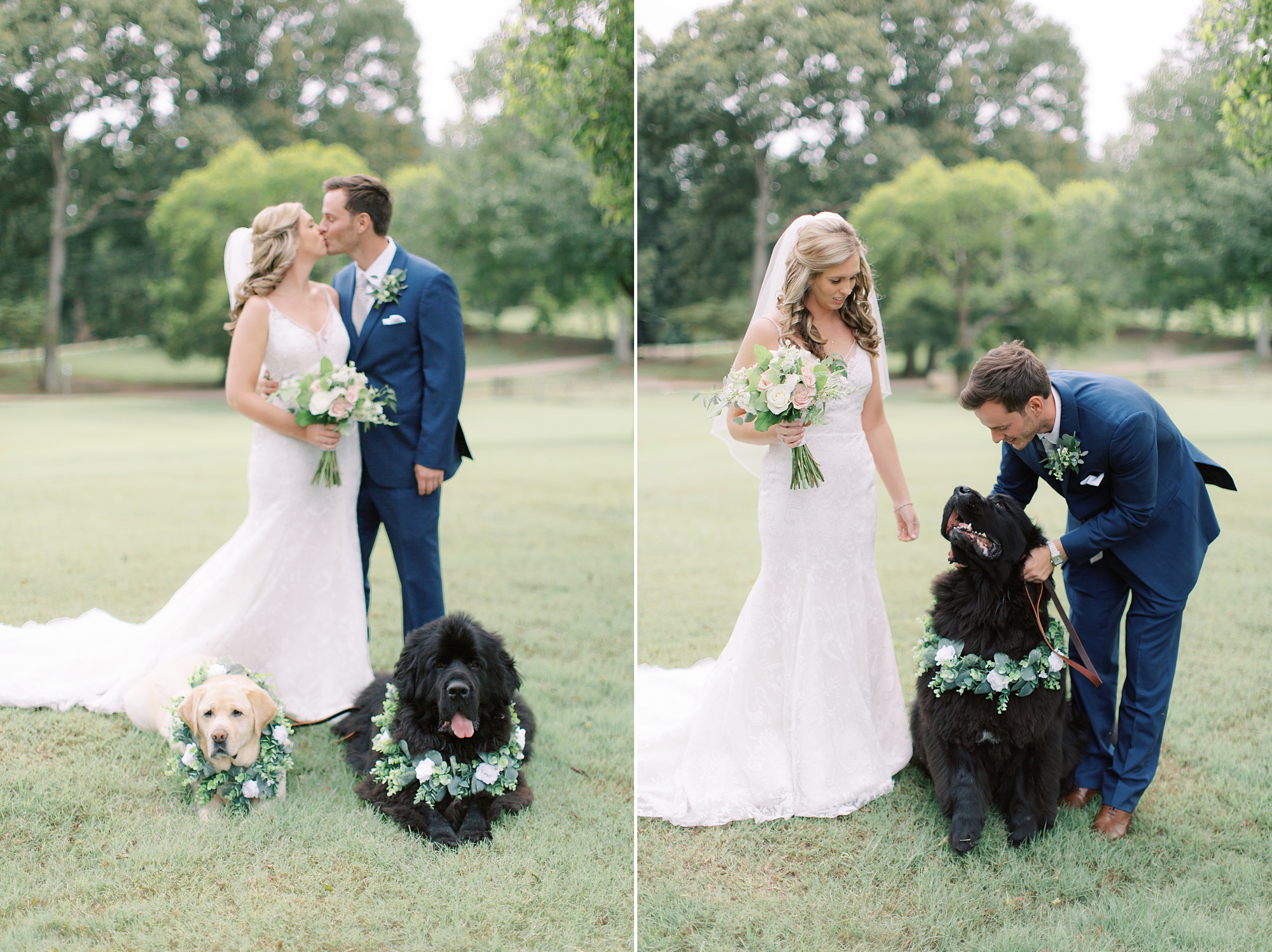 bride and groom pose with two dogs in green floral collars