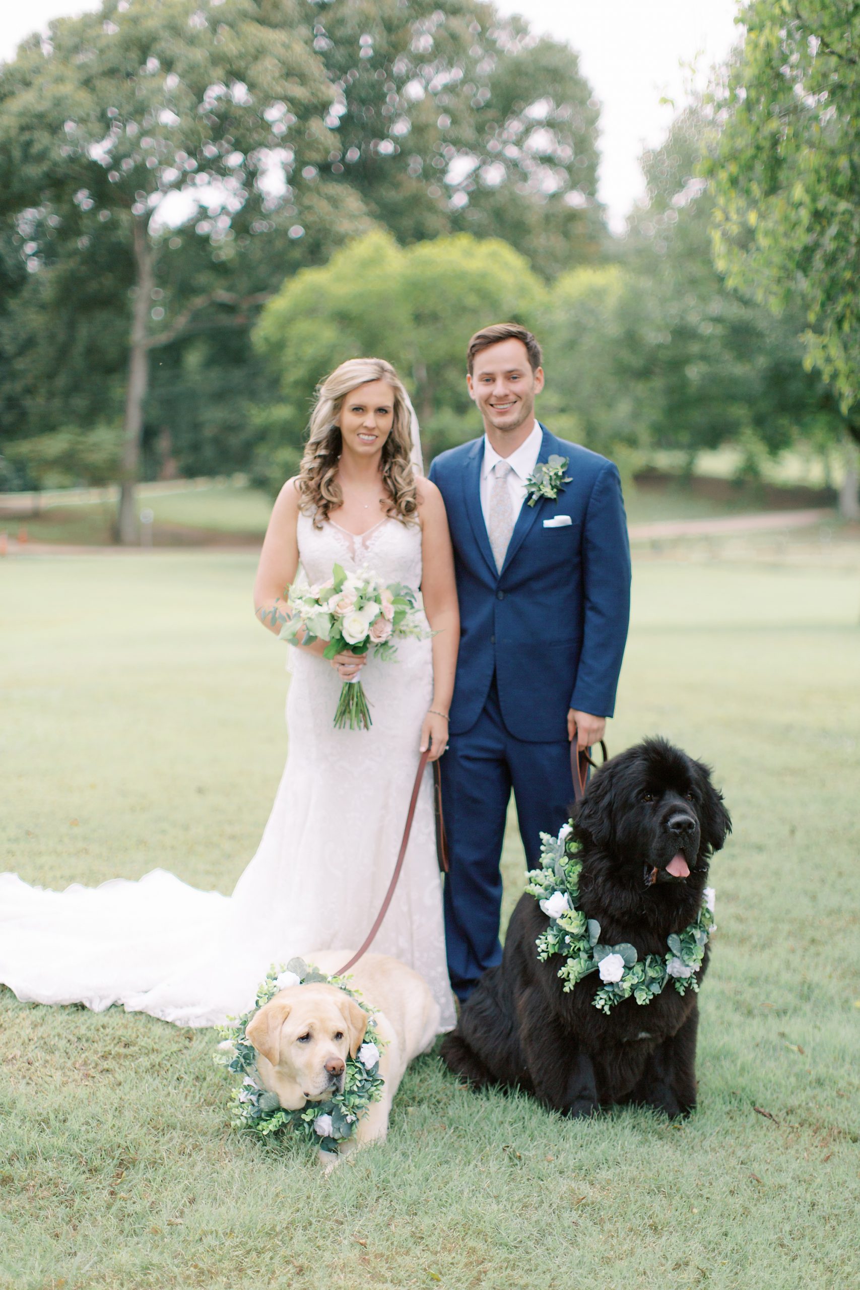 newlyweds pose with dogs at The Dairy Barn