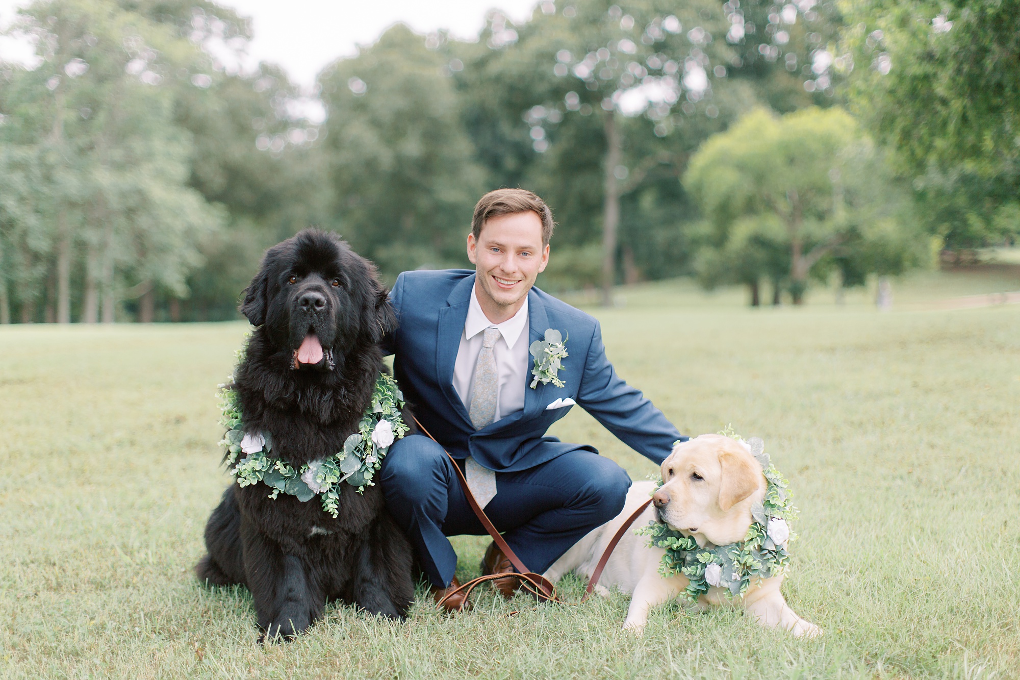 groom poses with dogs on wedding day