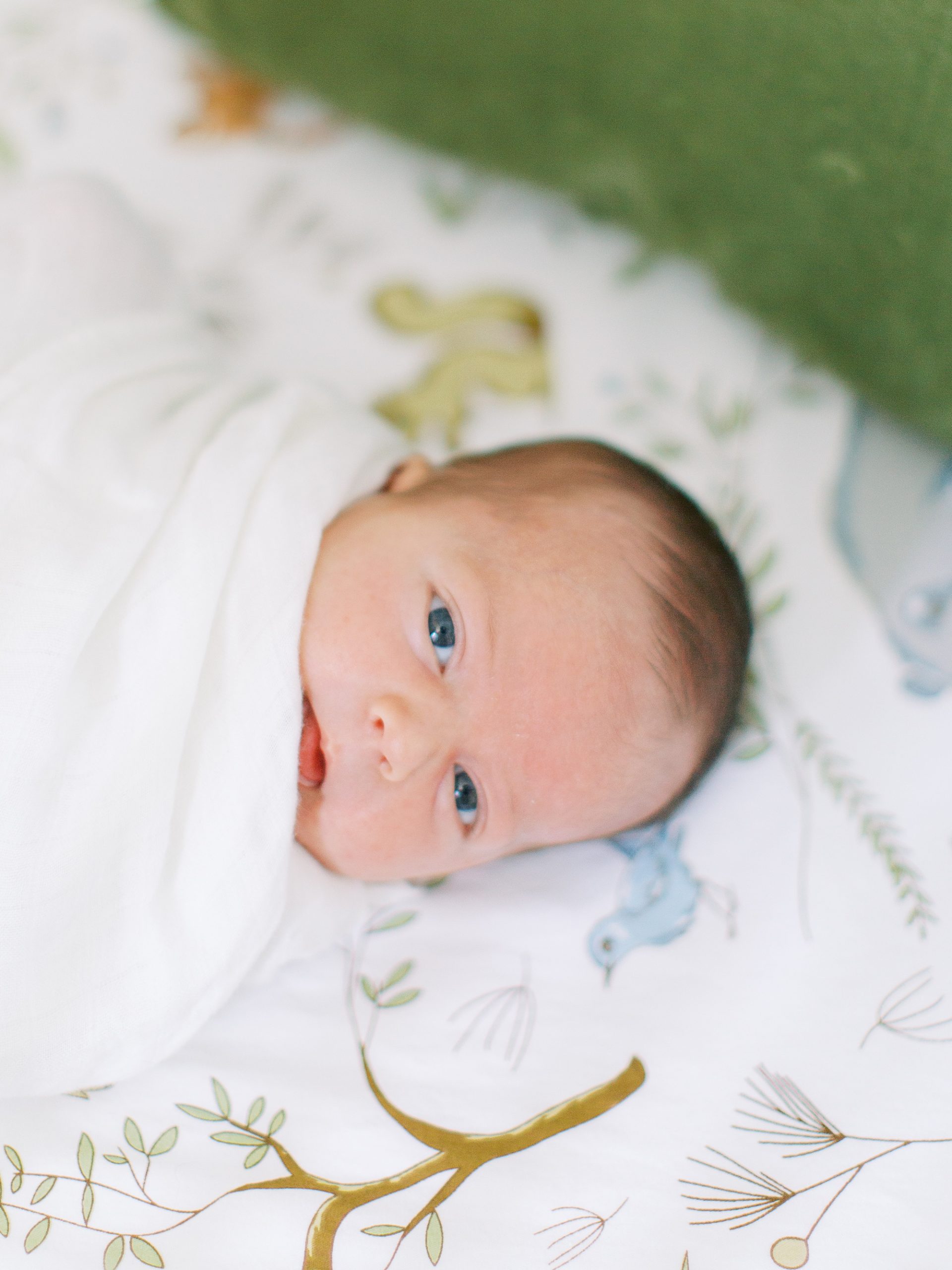 baby sleeps on animal sheet during Charlotte newborn session at home