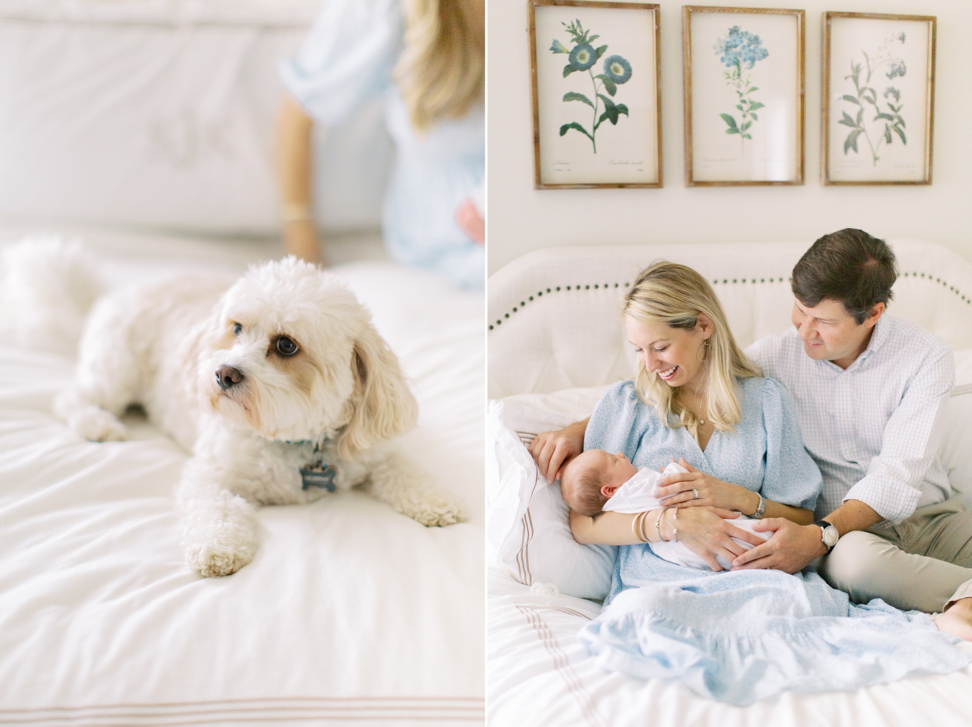 family poses on bed with dog during lifestyle photos at home