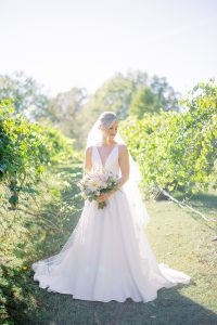 bride poses in vineyard at North Corner Haven
