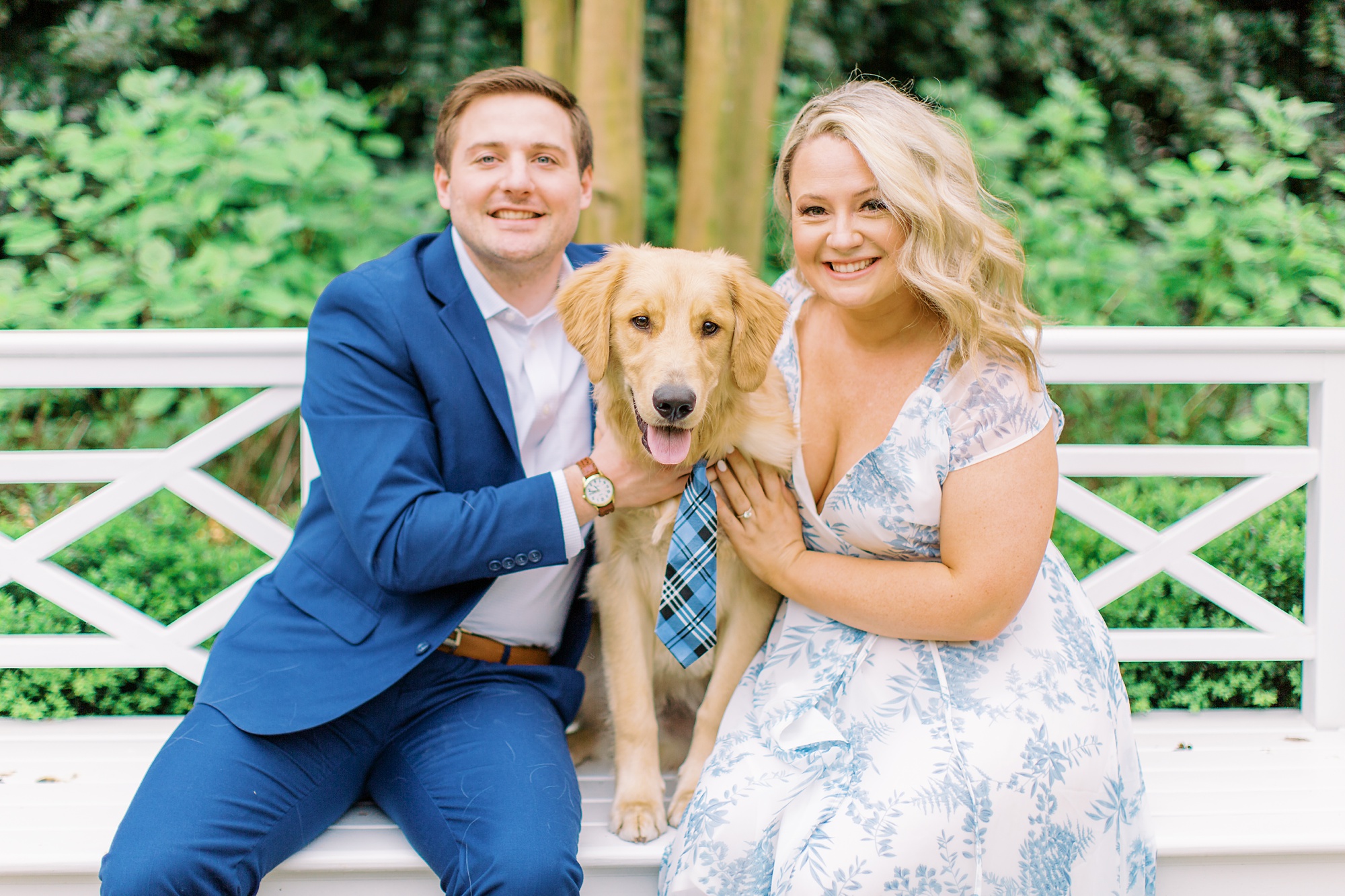 engaged couple sits on white bench with golden retriever in tie