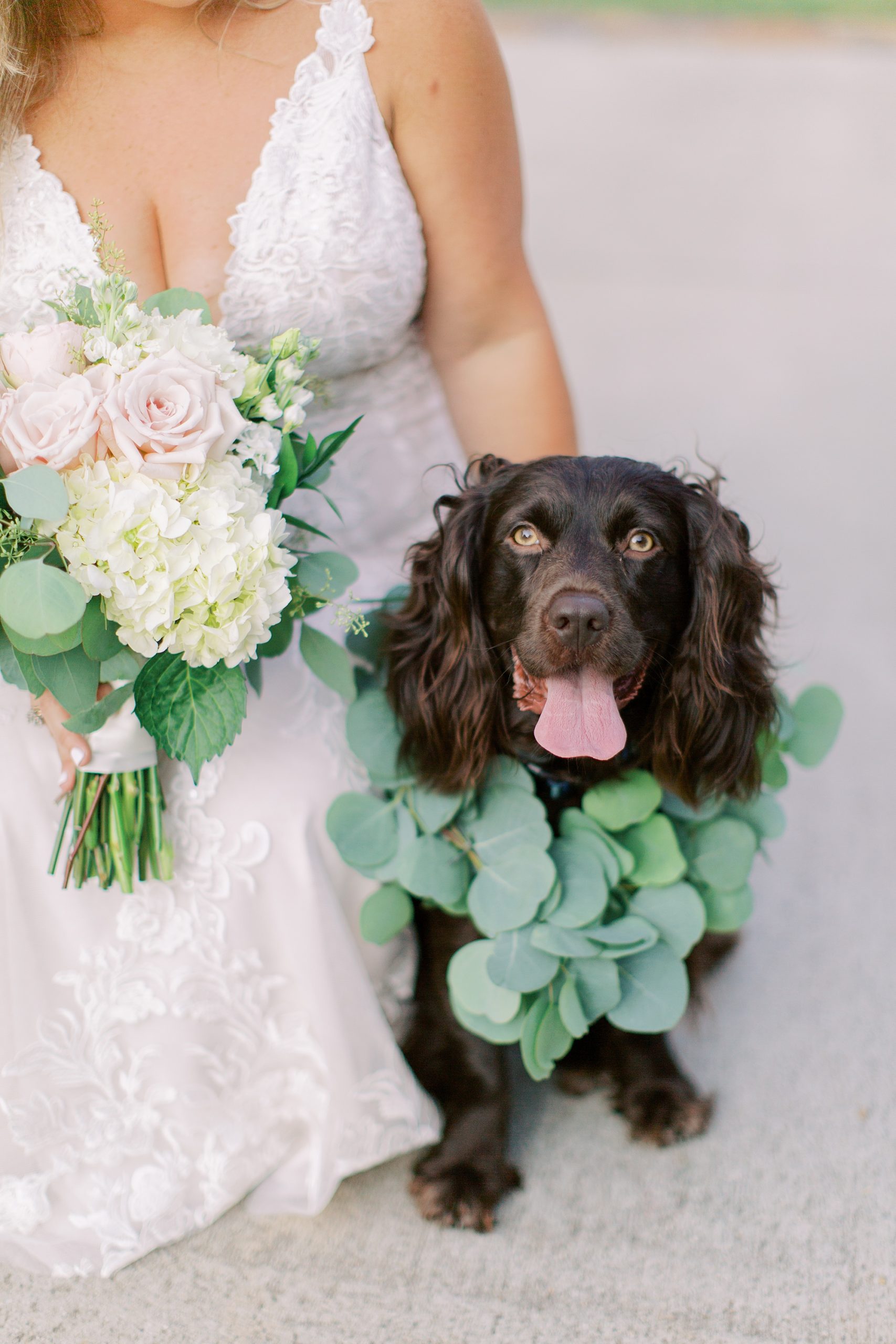 bride poses with dog in greenery collar at The Dairy Barn