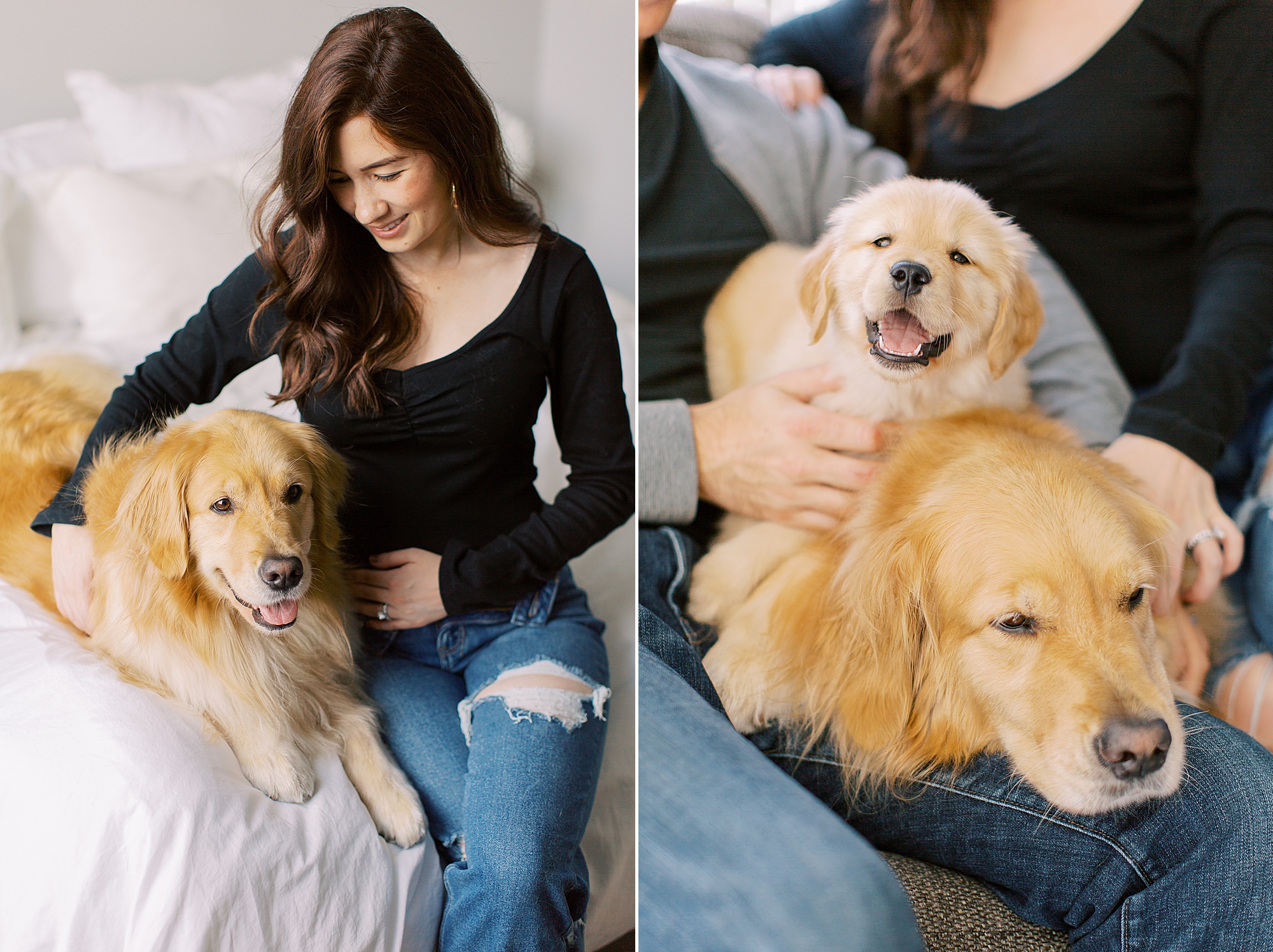woman holds puppy during Golden Retriever Baby Announcement