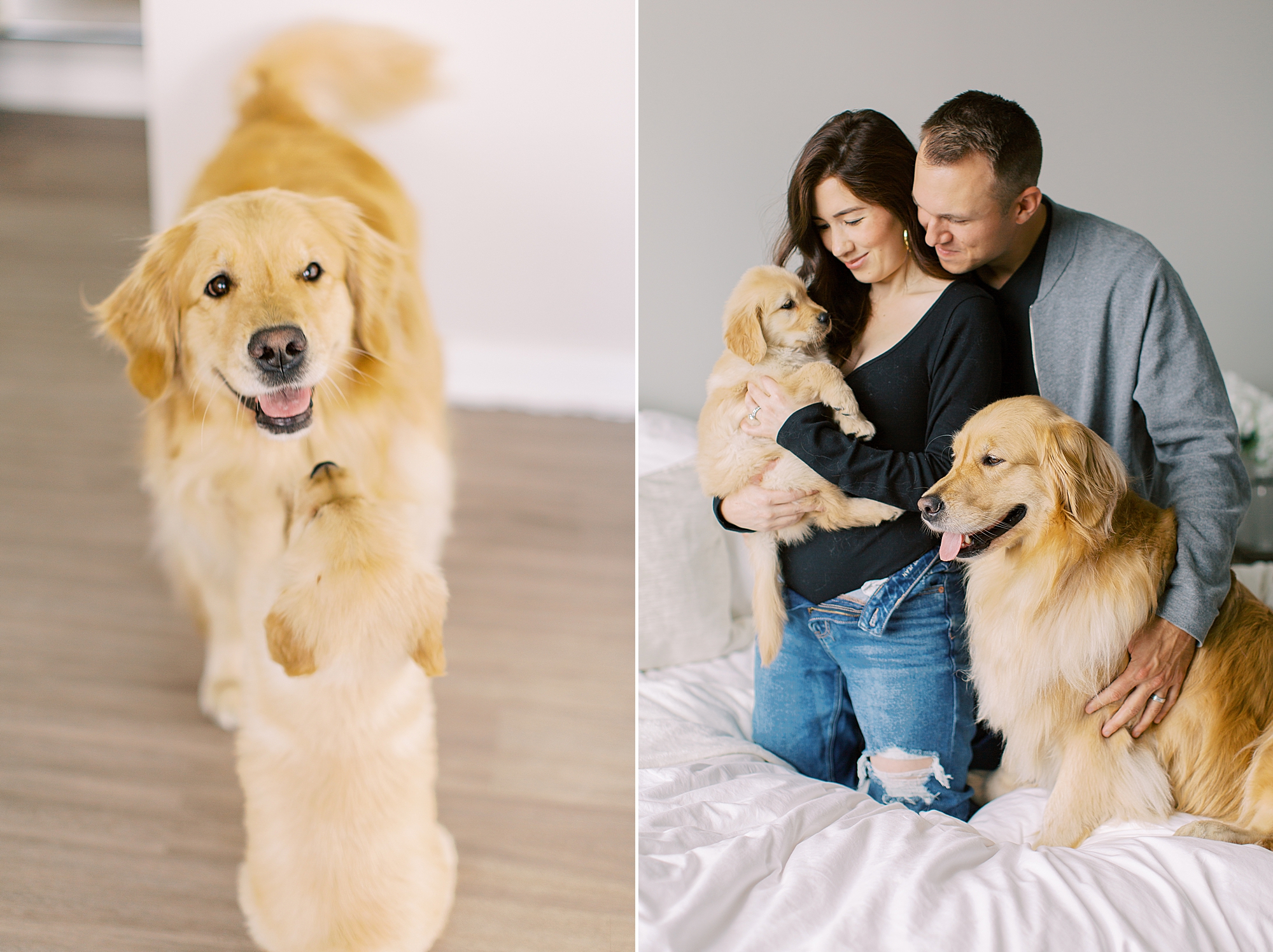 parents play with new puppy during family photos at home