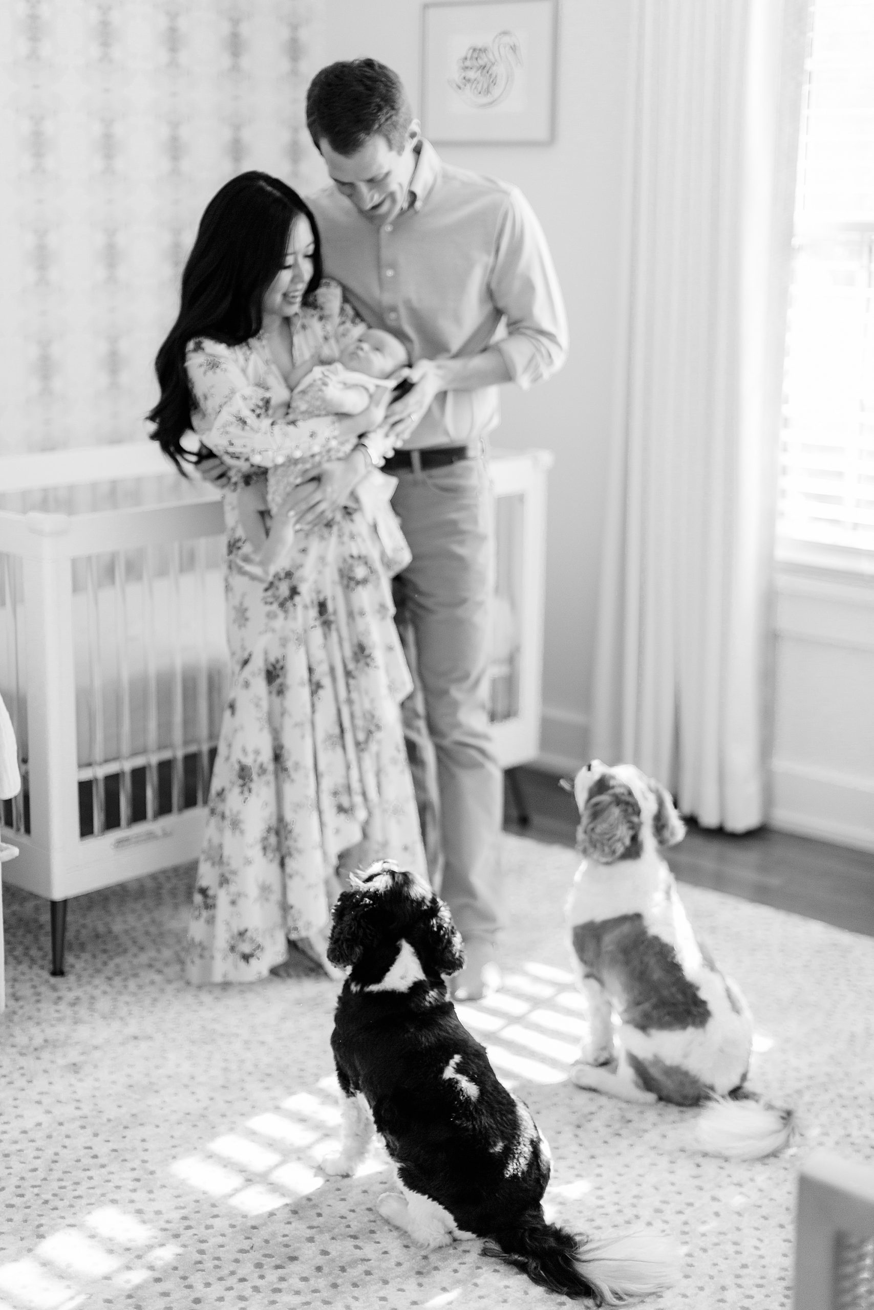parents hold baby girl while two dogs look at her