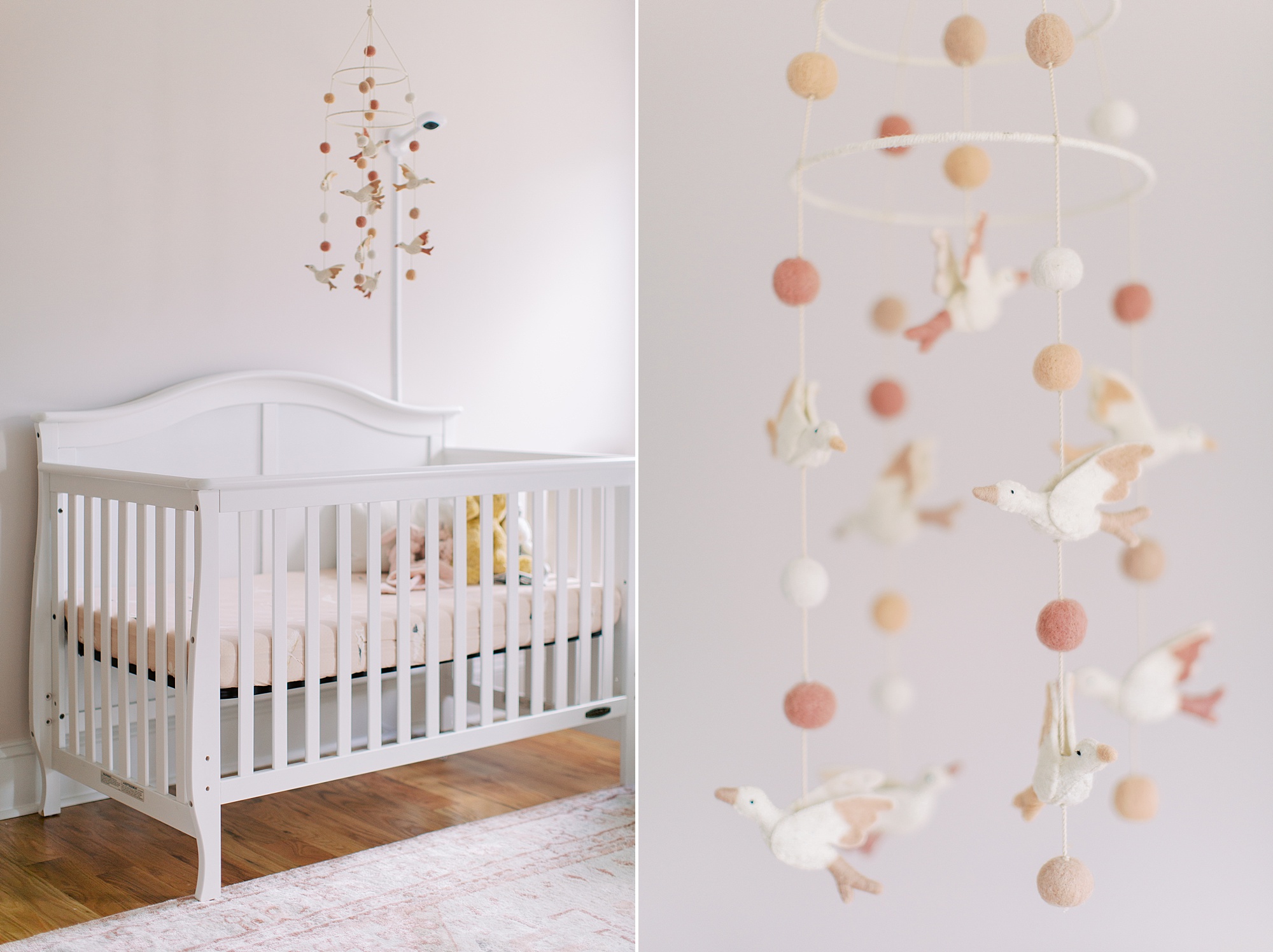 details for baby's nursery in Charlotte home
