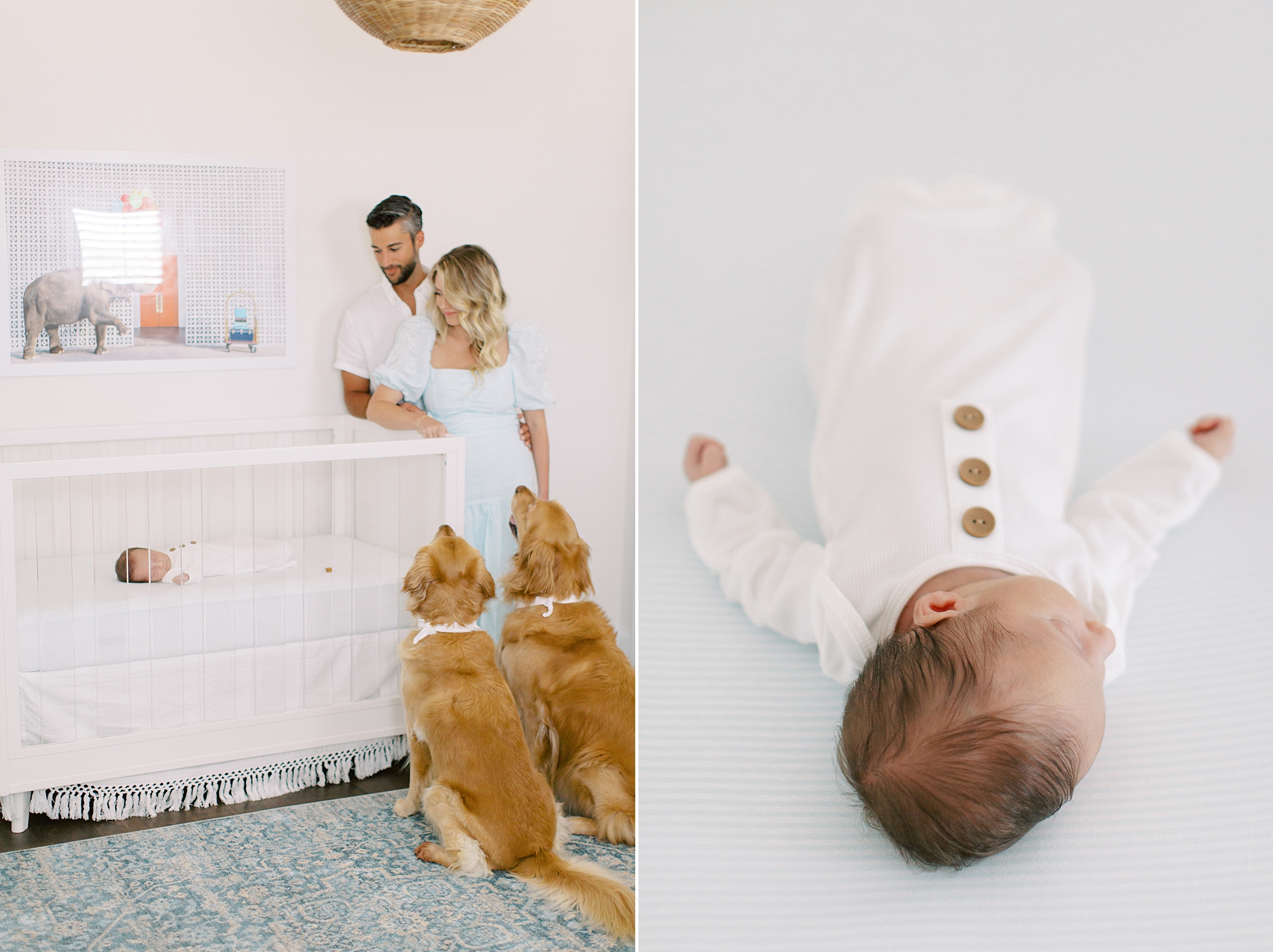 parents look at baby boy in crib with dogs next to them