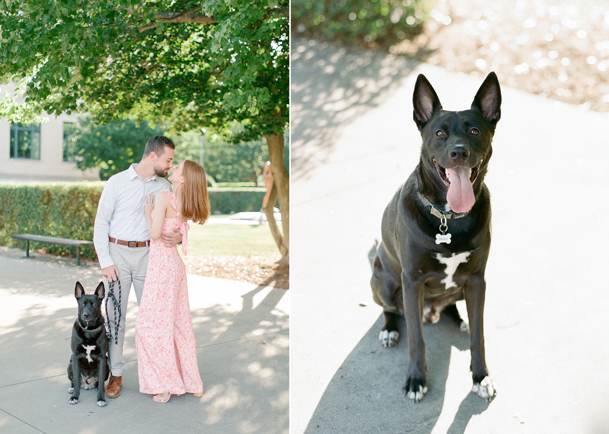 engaged couple poses with dog in Uptown Charlotte
