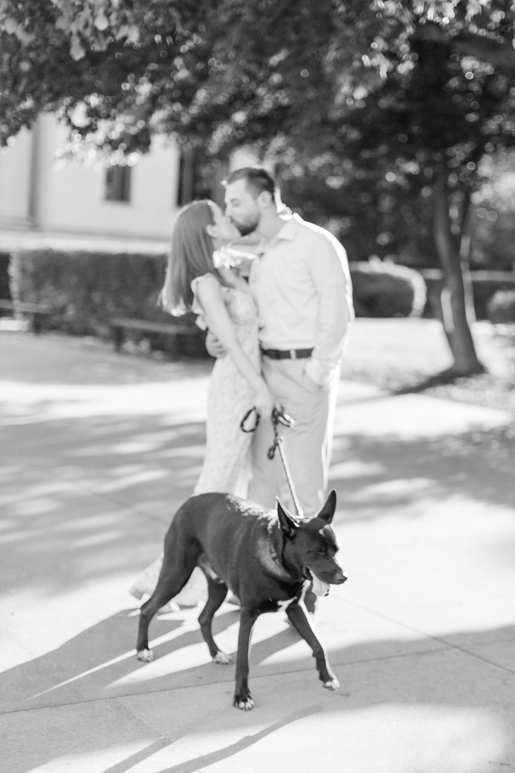 bride and groom kiss while dog walks on leash