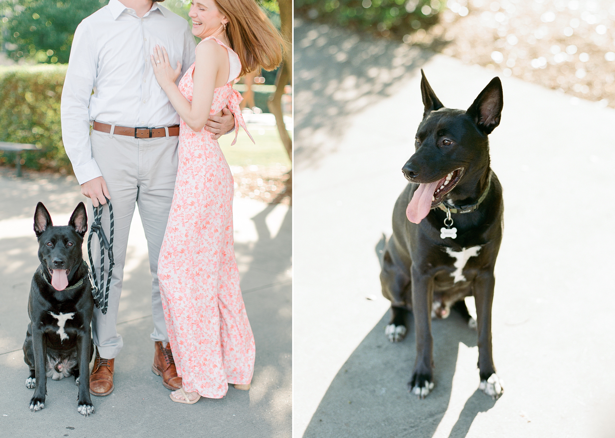 bride and groom hug with dog next to them during Uptown Charlotte engagement session