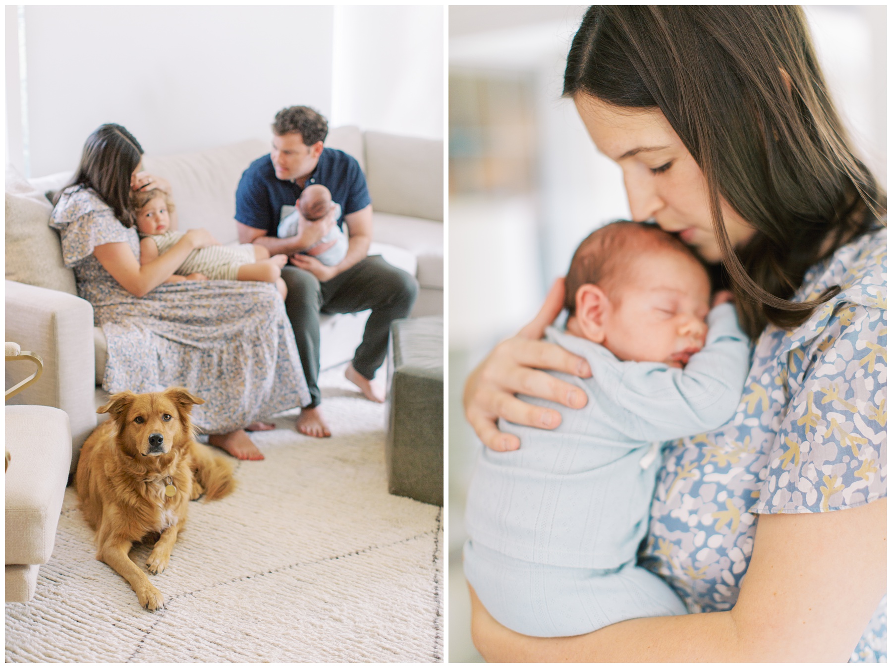 parents sit on couch with toddler and new baby with dog at their feet during Charlotte in-home newborn session